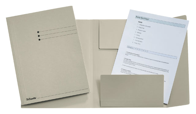 Esselte - Fichier de fichiers Gray, Ft A4