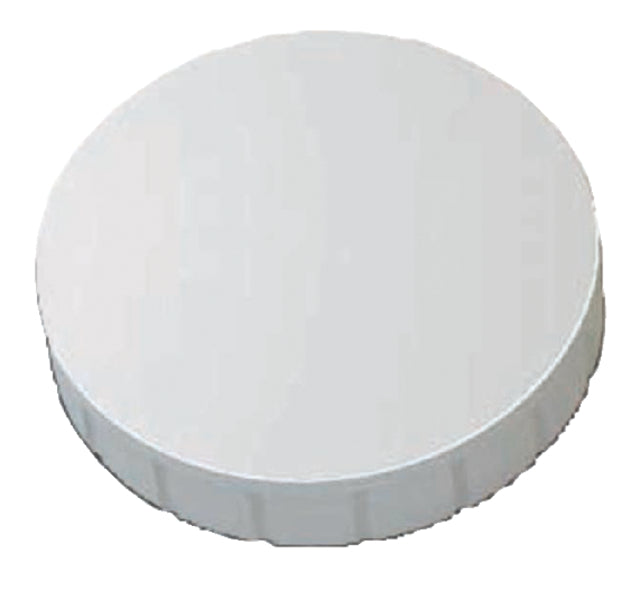 Maul - aimant solide, 32 mm, Tenskkracht 800 gr, boîte de 10 pièces, blanc