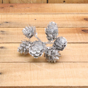 Bonbon doosjes - Chocolade doosje - Deko kerst dennenappels zilver