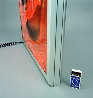 Descriptive image text