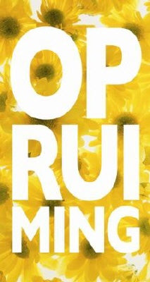 Klika - Fensterticket-Thema CLEARANCE 50x94cm solar