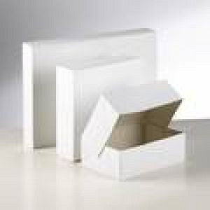 Gebaksdoos blanco/wit 24x16x8cm 300 stuks