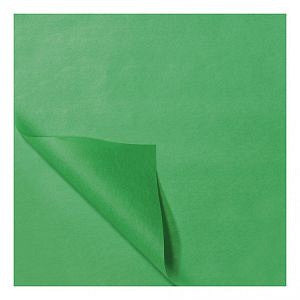 Papier de soie 50x75cm 22gr 100 feuilles Vert Clair